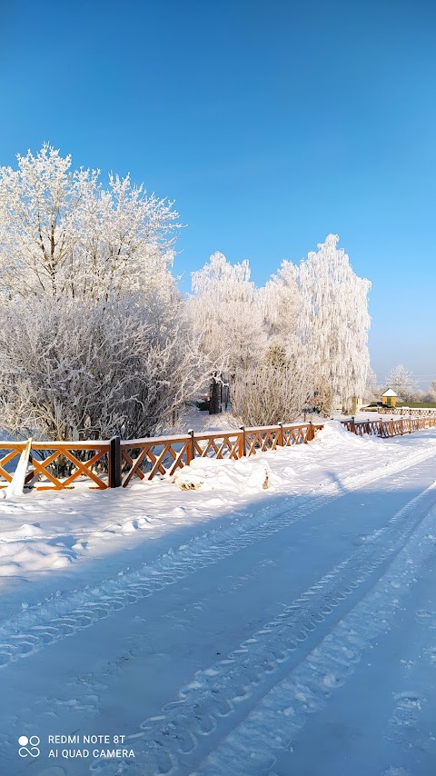 Дерево переробний цех