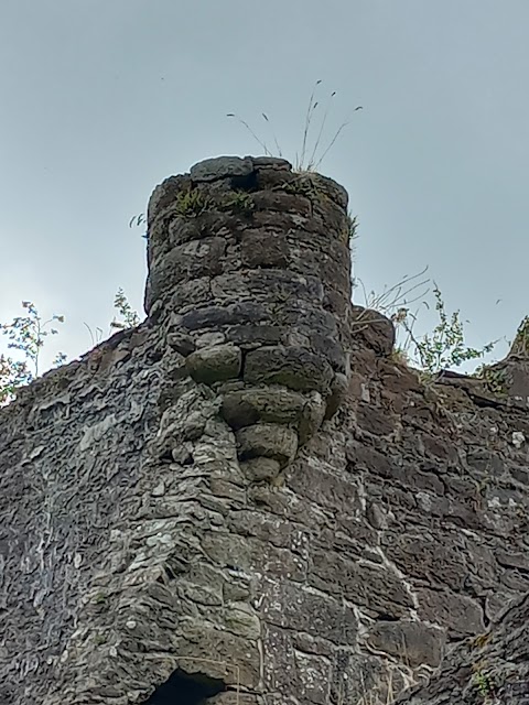 Carey's Castle