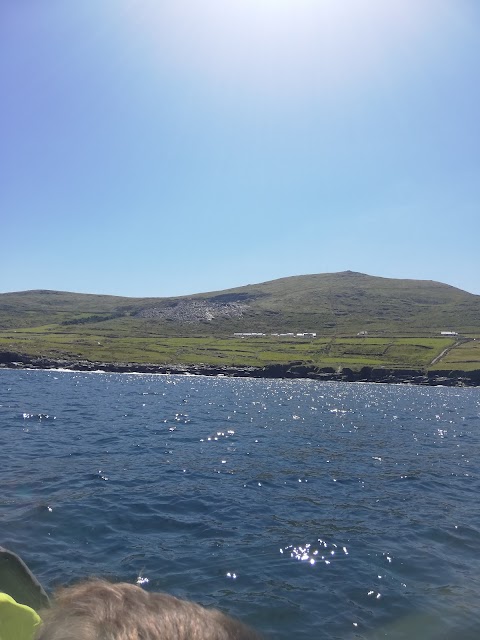 Kerry Coastal Tours