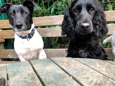 Muddy Paws Day Care