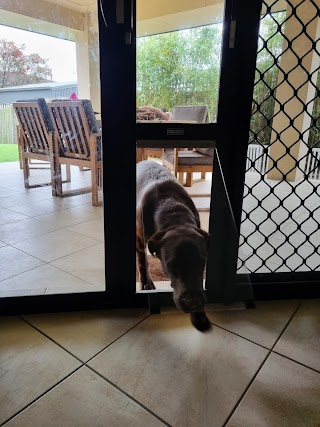 Modern Pet Doors