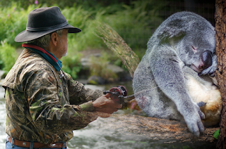 Sklep zoologiczno - wędkarski "Koala"