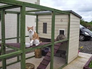 Kamasaki Boarding Cattery