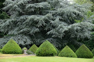 The Mews at Burgage Stud