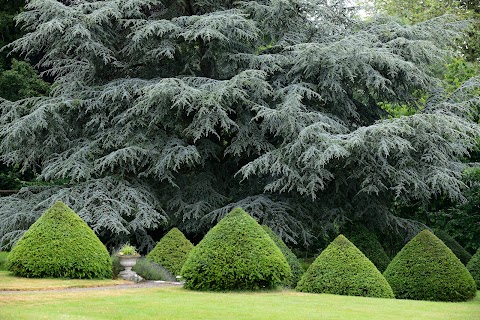 The Mews at Burgage Stud