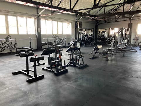 Gorilla Gym