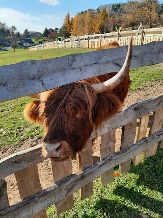 Zamkowa zagroda mini zoo