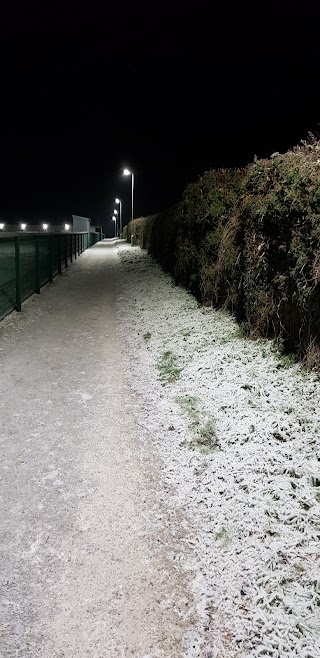 Kilnadeema Leitrim GAA pitch