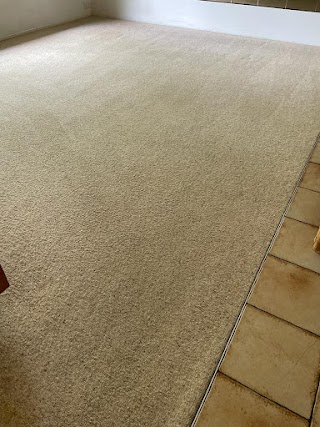 George carpet and pest control Ipswich