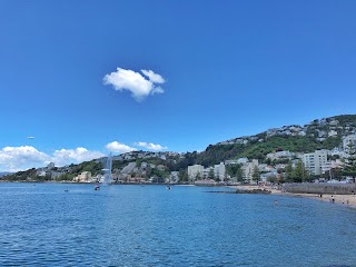 Oriental Bay Lookout