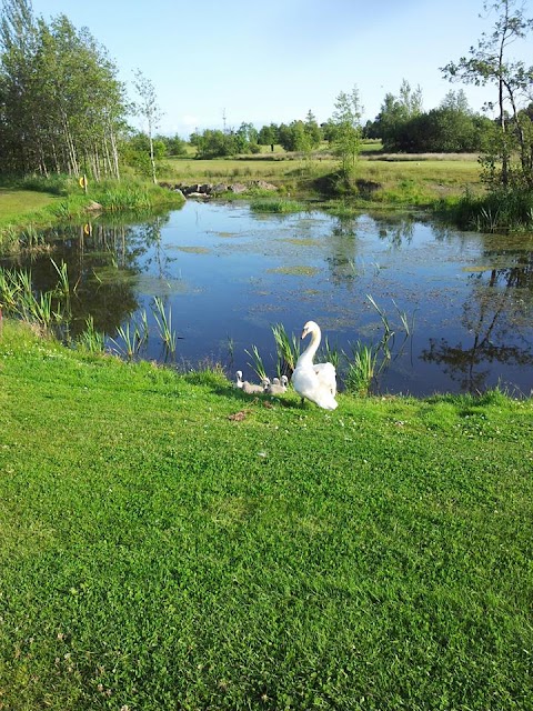 Mountbellew Golf Club