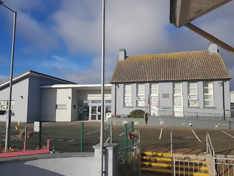 Scoil Naomh Fionán Na Reanna