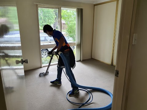 Steam Hero Carpet Cleaning