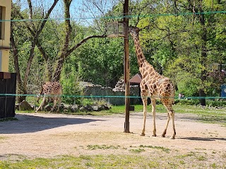 MIEJSKI OGRÓD ZOOLOGICZNY W PŁOCKU Sp. z o.o.