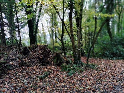 Ballyhoura Mountain Lodges