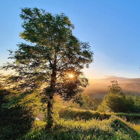 Skylark Health Yoga and Wellness Retreat Centre