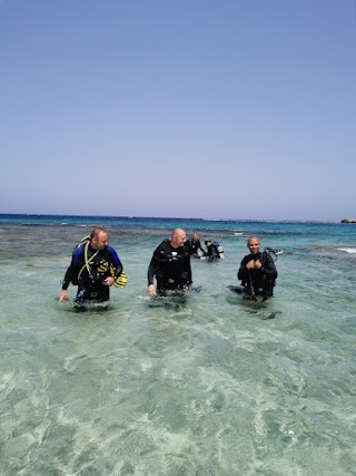 Dive Way Szkoła Nurkowa