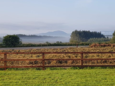 Paddy O' Keeffe's Gattabawn