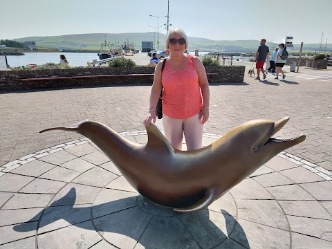 Dingle Sea Safari