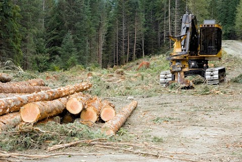 Cork Firewood Co. - Tinteán Firewood