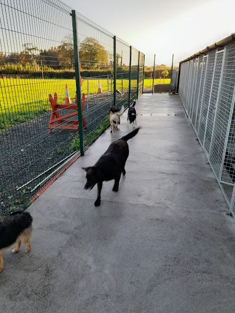 Riverview Boarding Kennels and Cattery