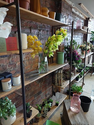 Stems Flower Market