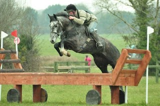 Gooseberry Hill Ponies and Horses