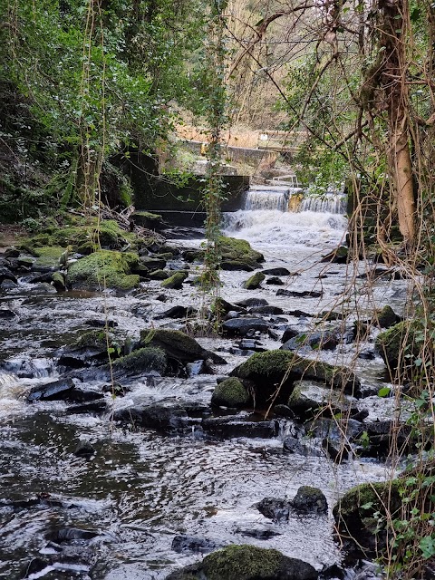 Slieve Bloom Mountains