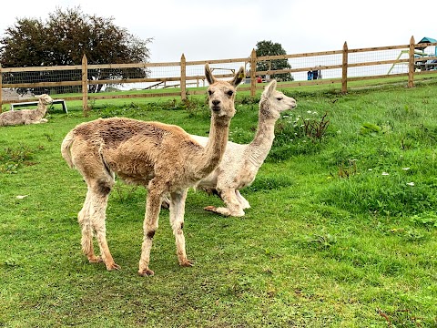 Tearaways Pet Farm & Activity Centre