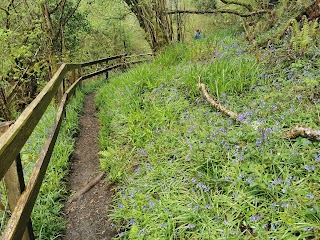 Silver River Gorge