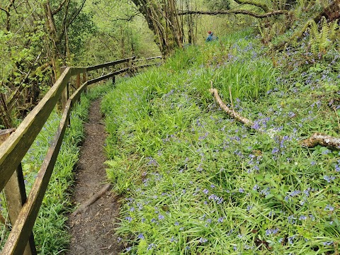 Silver River Gorge