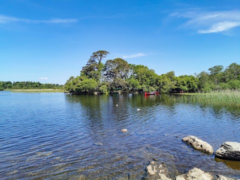 Killarney Lake Tours