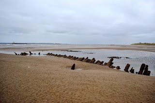 Ecotrek Ballybunion