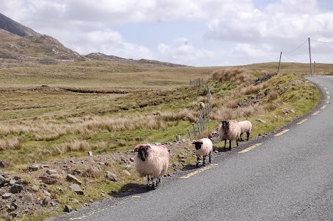 Connemara Country Lodge