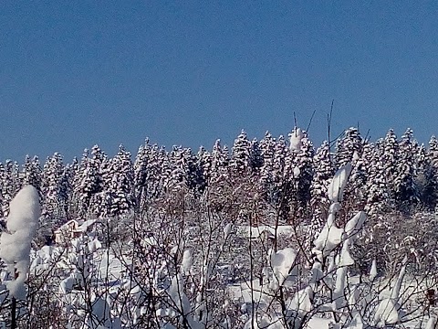 Церква Покрову Пресвятої Богородиці УПЦ