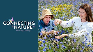 Connecting to Nature (Blooming Native Wildflowers)