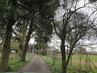 Glebe House Boarding Kennels