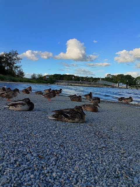 Lough Ree Park Walking Trail