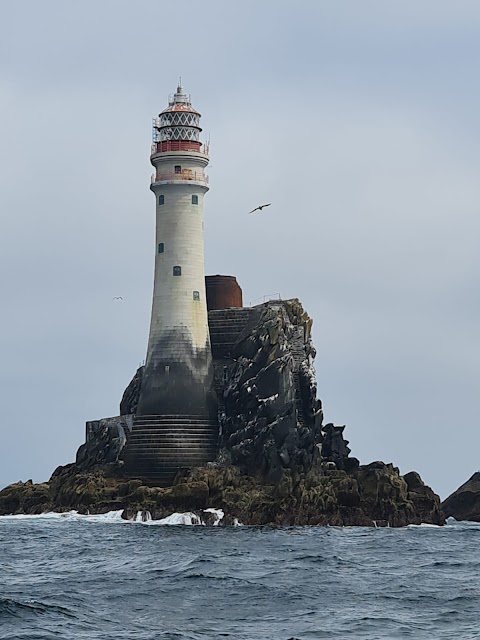 Cape Clear Ferries & Fastnet Rock Lighthouse Tours