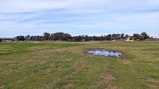 Blacktown Native Institution