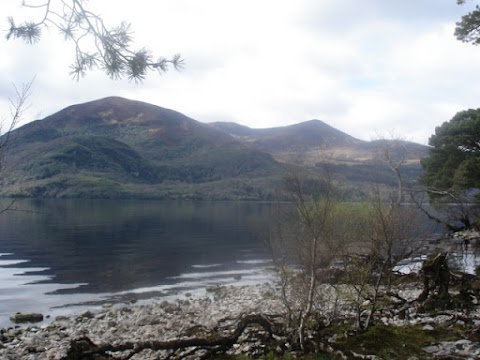 Ross Castle Lodge