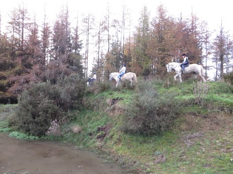 Valley View Equestrian Centre