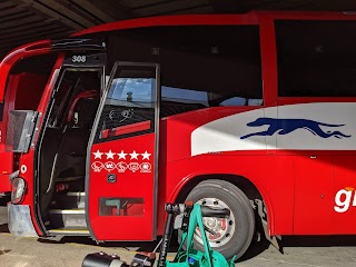 Greyhound Bus Stop Toowoomba