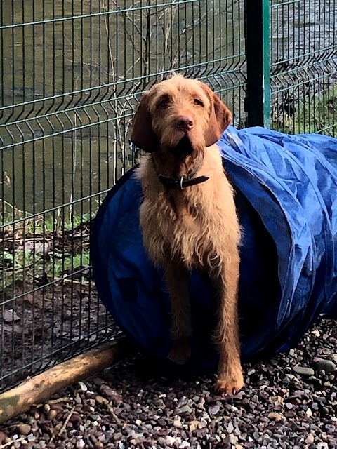 Muddy Paws Day Care