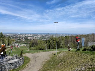 Schronisko Na Dębowcu