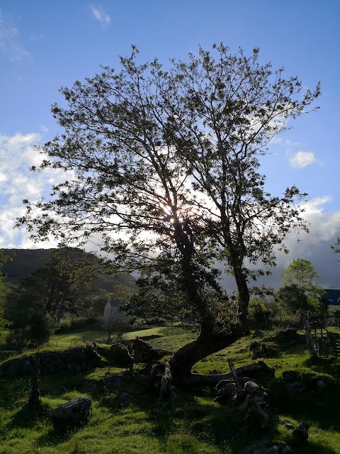 Carraig Dubh House B&B