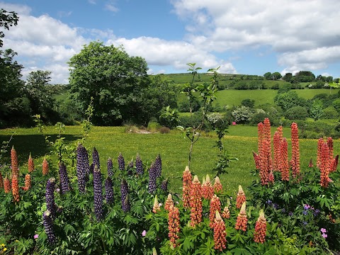 Ballycommane House & Garden