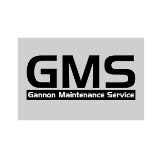 GMS LTD