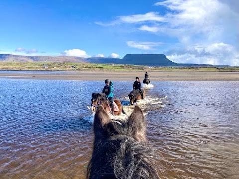 Island View Riding Stables