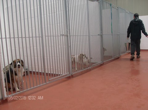 Stoneyford boarding Kennels and Cattery